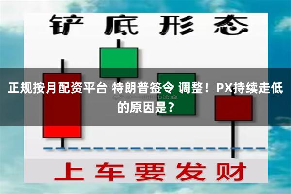 正规按月配资平台 特朗普签令 调整！PX持续走低的原因是？