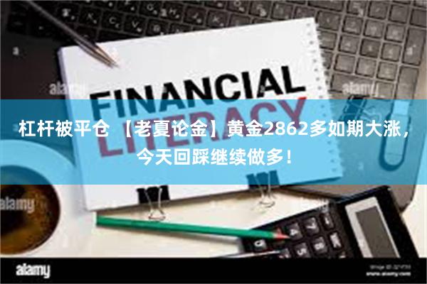 杠杆被平仓 【老夏论金】黄金2862多如期大涨，今天回踩继续做多！