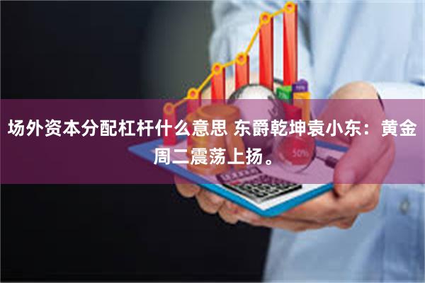 场外资本分配杠杆什么意思 东爵乾坤袁小东：黄金周二震荡上扬。