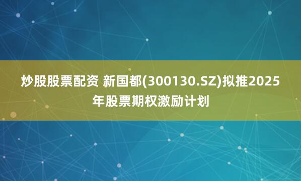 炒股股票配资 新国都(300130.SZ)拟推2025年股票期权激励计划