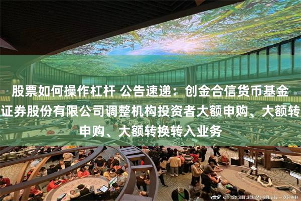 股票如何操作杠杆 公告速递：创金合信货币基金在国联民生证券股份有限公司调整机构投资者大额申购、大额转换转入业务