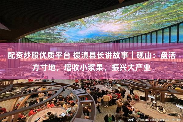 配资炒股优质平台 援滇县长讲故事｜砚山：盘活方寸地，增收小浆果，振兴大产业