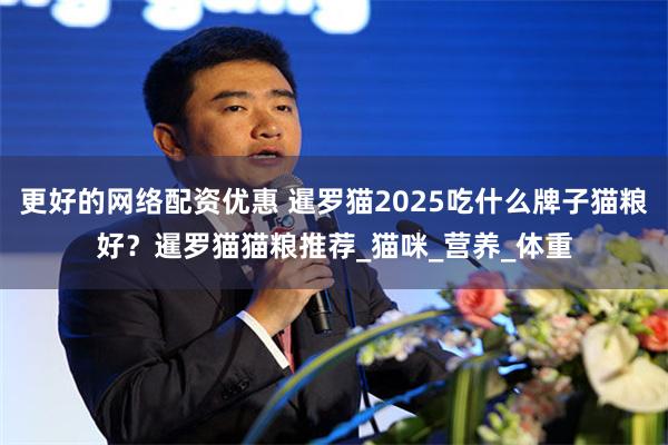 更好的网络配资优惠 暹罗猫2025吃什么牌子猫粮好？暹罗猫猫粮推荐_猫咪_营养_体重