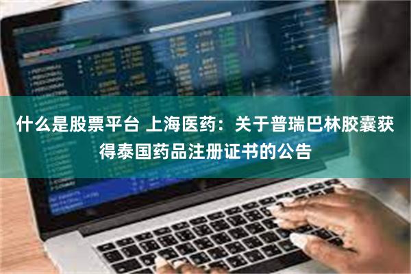 什么是股票平台 上海医药：关于普瑞巴林胶囊获得泰国药品注册证书的公告