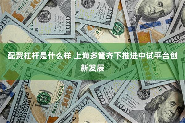 配资杠杆是什么样 上海多管齐下推进中试平台创新发展