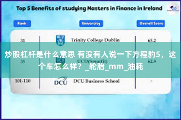 炒股杠杆是什么意思 有没有人说一下方程豹5，这个车怎么样？_轮胎_mm_油耗