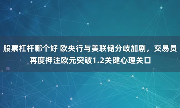 股票杠杆哪个好 欧央行与美联储分歧加剧，交易员再度押注欧元突破1.2关键心理关口